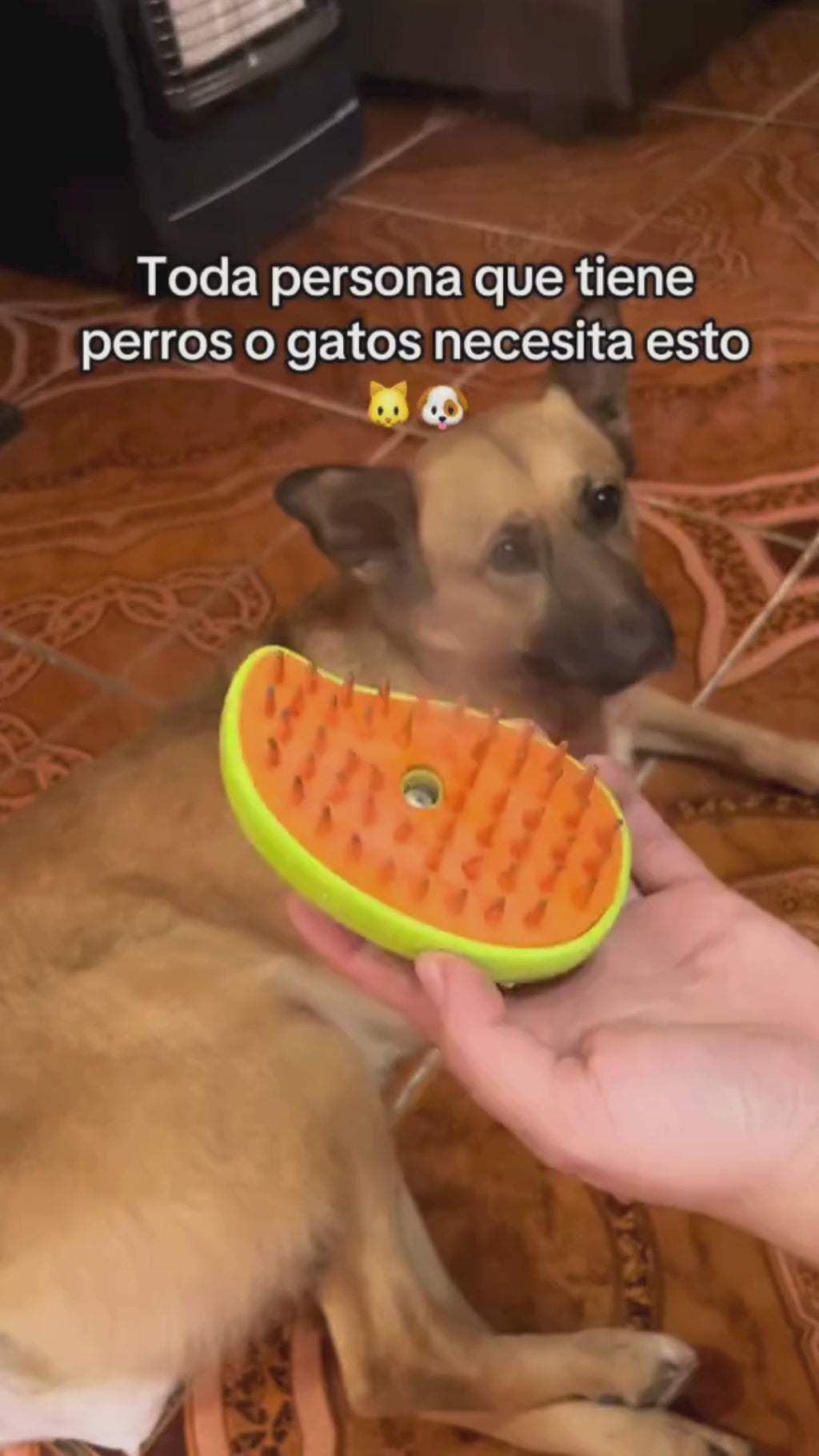 Cepillo a vapor para mascotas